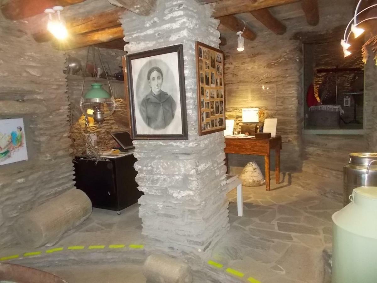 Cyclades Olive Museum'S Guest House Pitrofos Exteriér fotografie